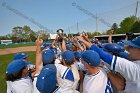 Baseball vs Babson  Wheaton College Baseball players celebrate their victory over Babson to win the NEWMAC Championship for the third year in a row. - (Photo by Keith Nordstrom) : Wheaton, baseball, NEWMAC